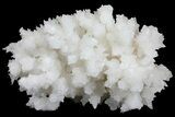 Sparkling Cave Calcite (Aragonite) Formation - Potosi Mine, Mexico #174470-1